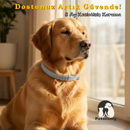 Petonomy™ Pire & Kene Önleyici Tasma — 8 Ay Koruma, Kedi & Köpek İçin