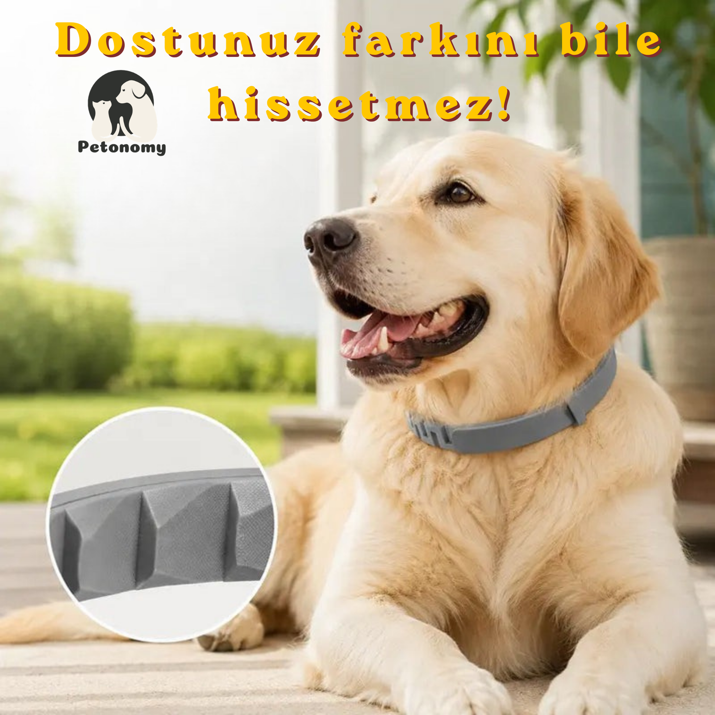 Petonomy™ Pire & Kene Önleyici Tasma — 8 Ay Koruma, Kedi & Köpek İçin